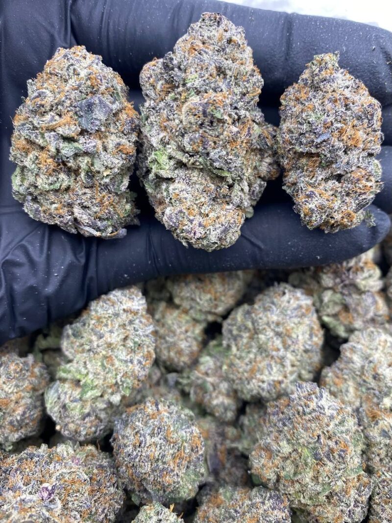 Purple Zookies