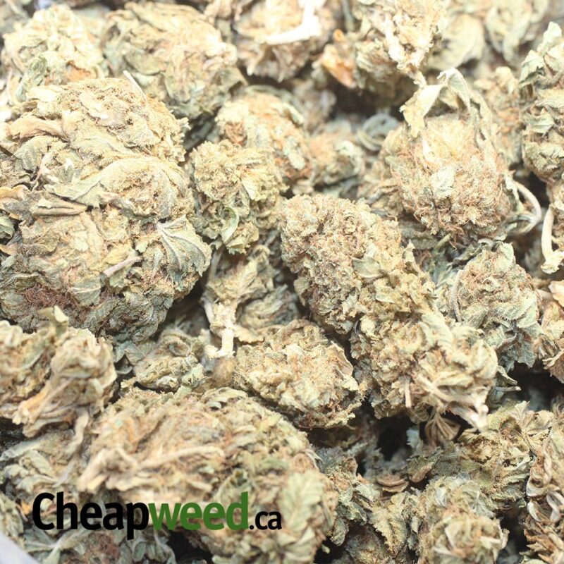 AA Bubba Bulk Special - Image 3