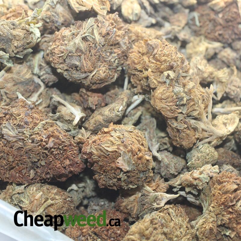 AA Bulk Special Indica #2 - Image 3