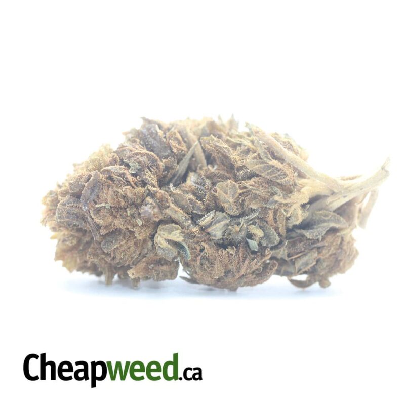 AA Bulk Special Indica #2