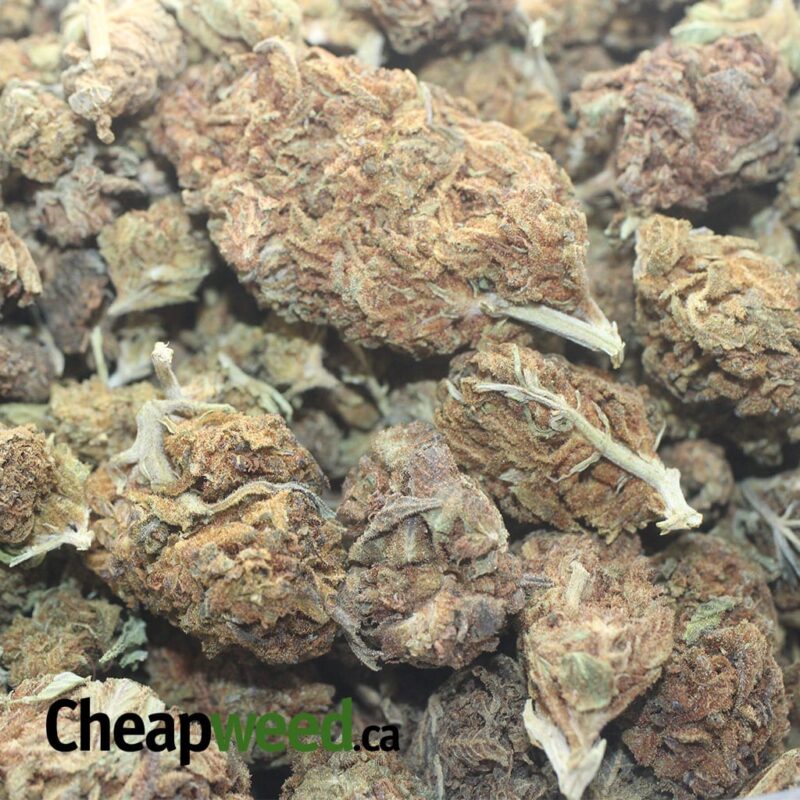 AA+ Bulk Special Indica - Image 3
