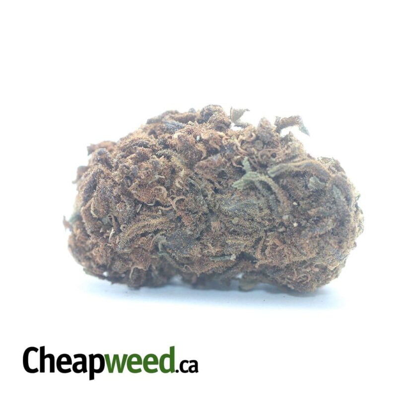 AA Cheap Hybrid
