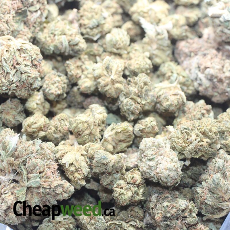 AA Cheap Kush Bulk Special - Image 3