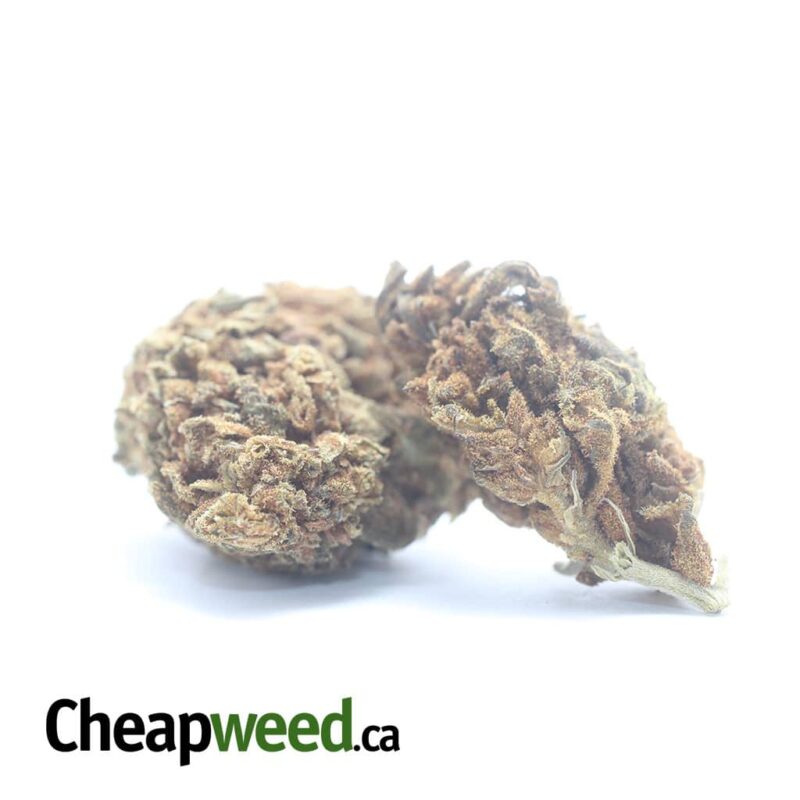 AA+ Bulk Special Indica - Image 2