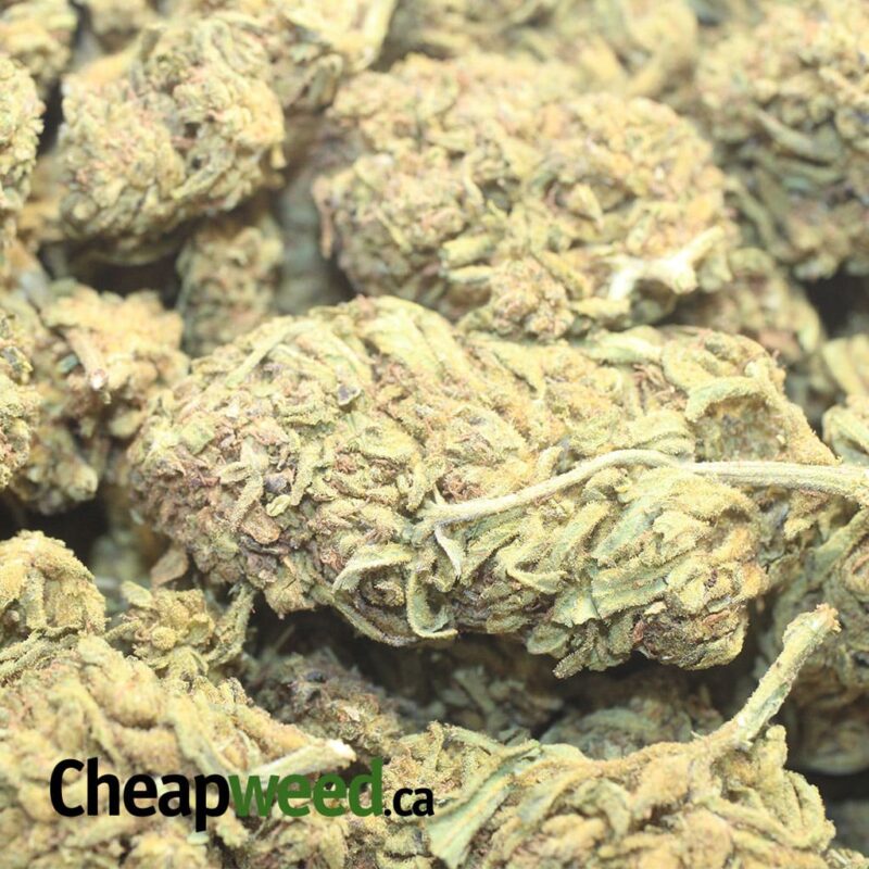 AA Sour Bubba - Image 3