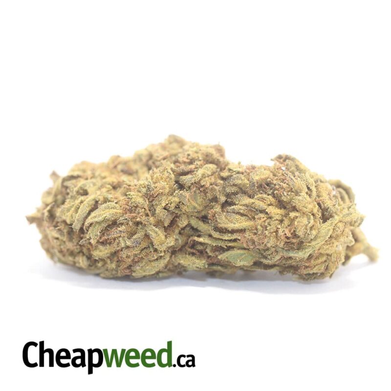AA Sour Bubba