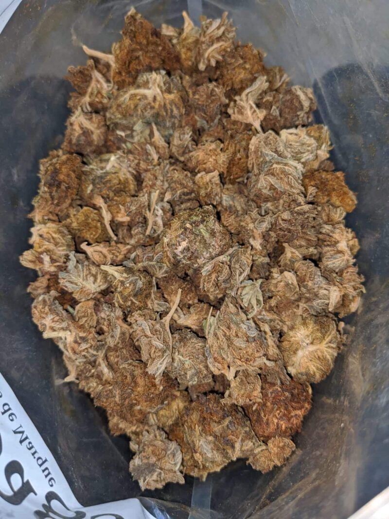 AA Dog Shit Bulk Special - Image 5