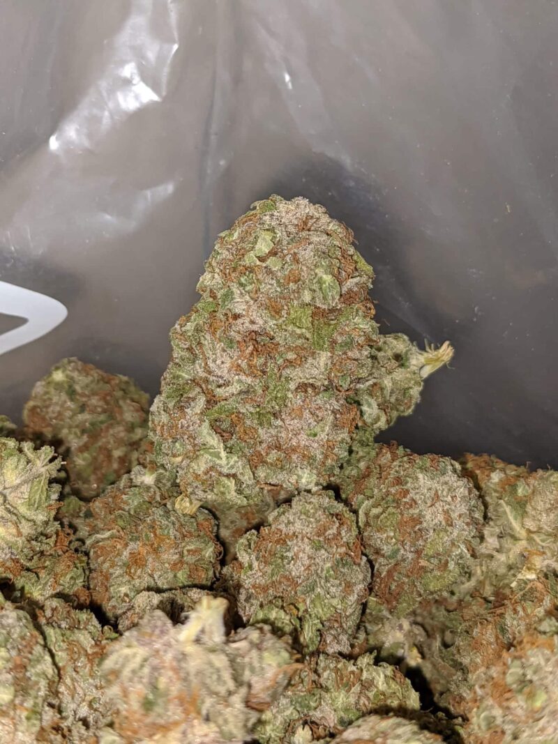 Afghan Kush - Image 2