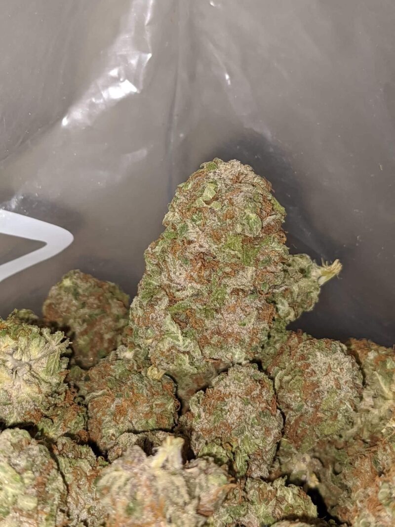 Afghan Kush - Image 5