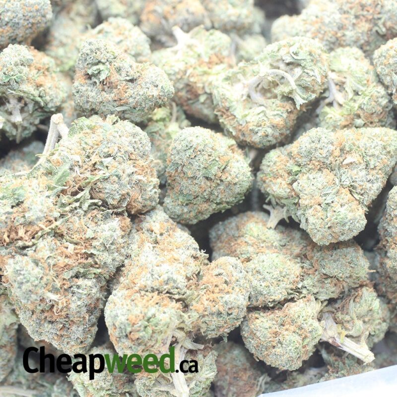 Agent Orange - Image 3