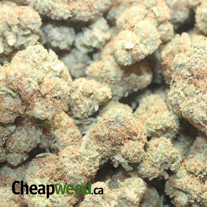 Agent Orange – *Deal Of The Day* (Smalls) - Image 3
