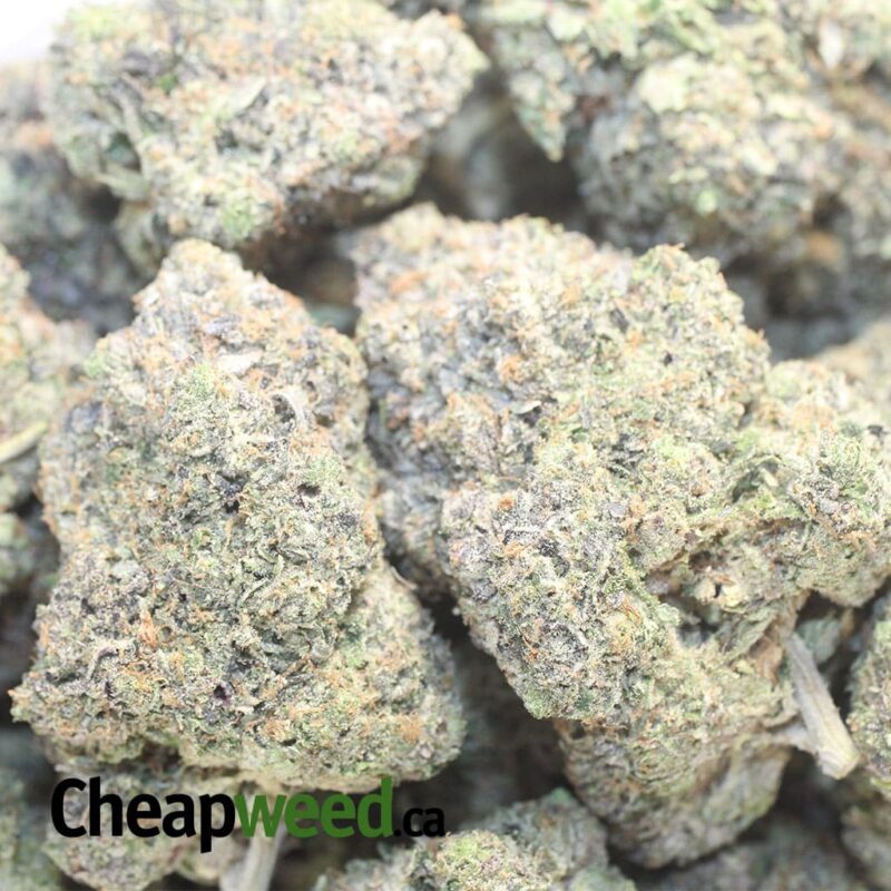 AK-47 - Image 3
