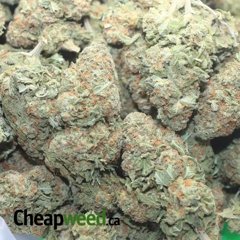 Alaskan ThunderFuck - Image 3