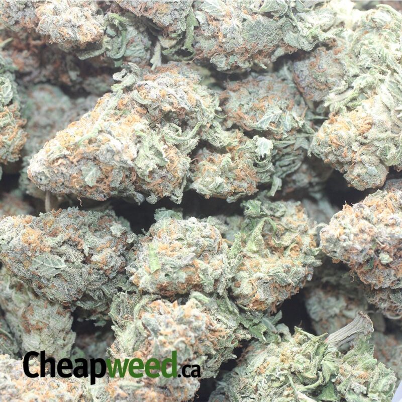 Alien Cookies #2 - Image 3