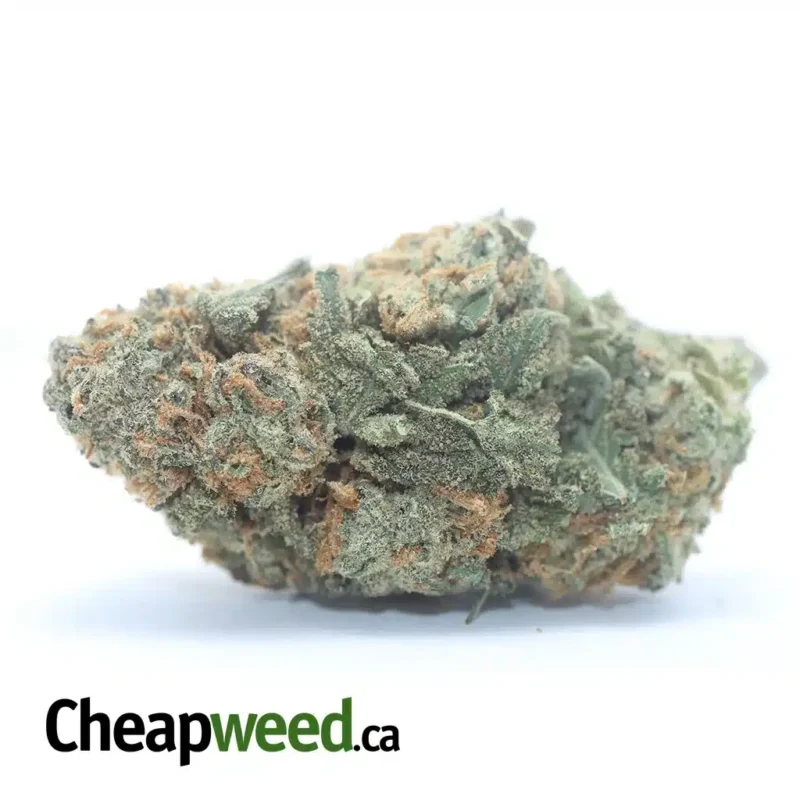 Alien Cookies