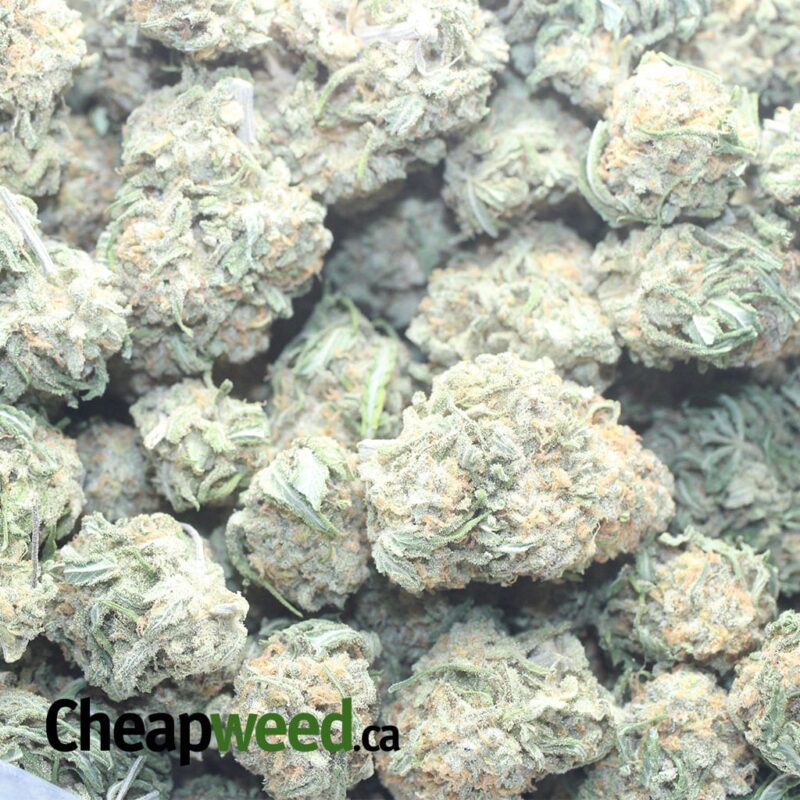 $ 57 Oz – Alien Cookies - Image 3