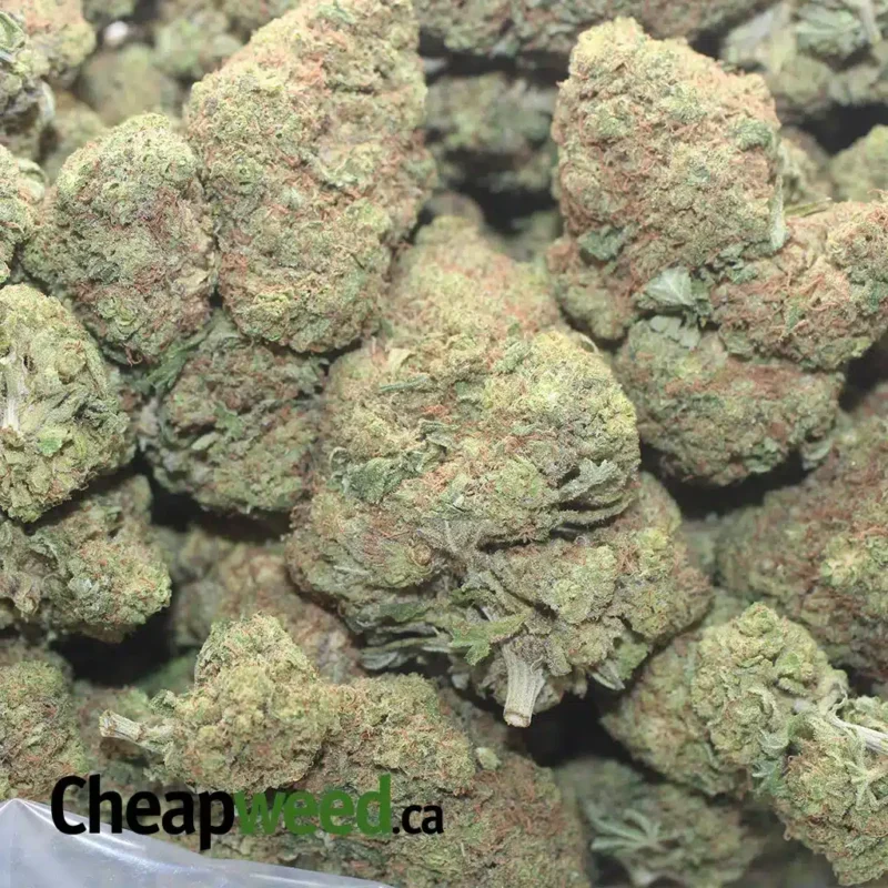 Apple Fritter - Image 3