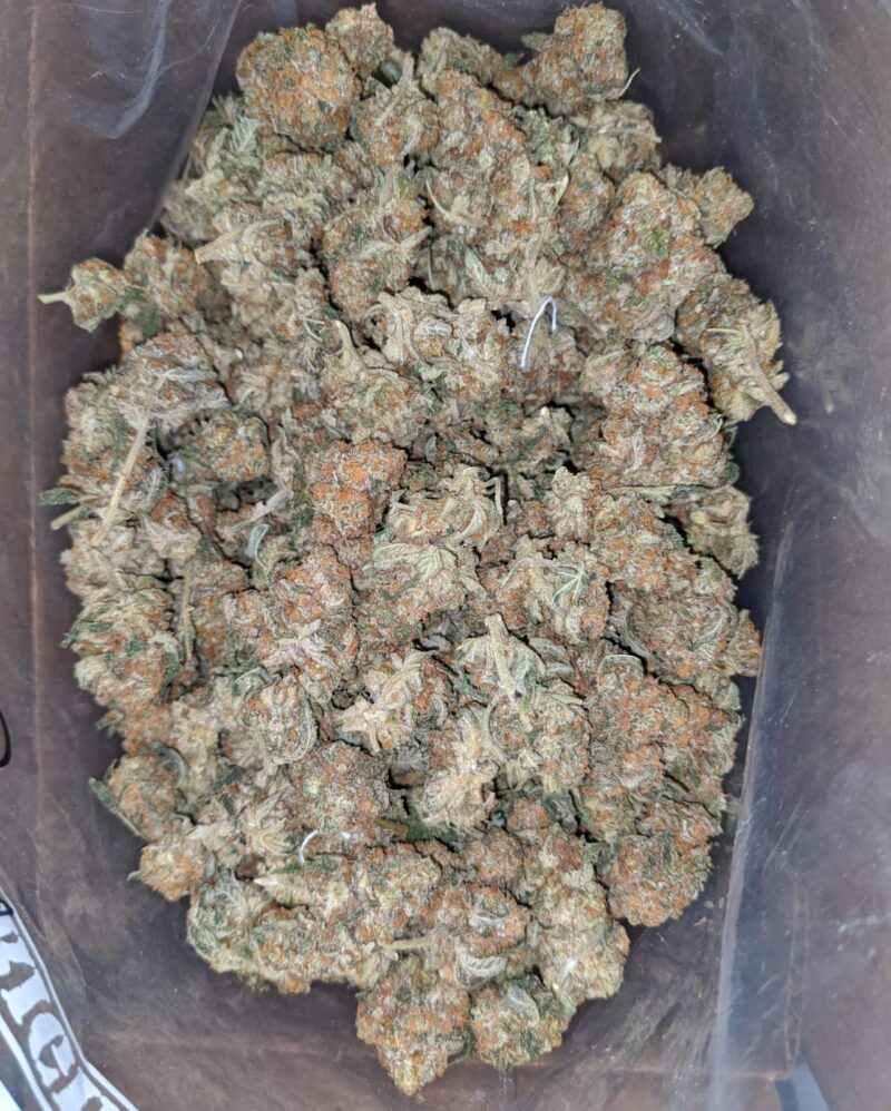 Agent O - Image 7