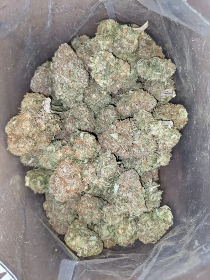 Alaskan Thunderfuck - Image 6