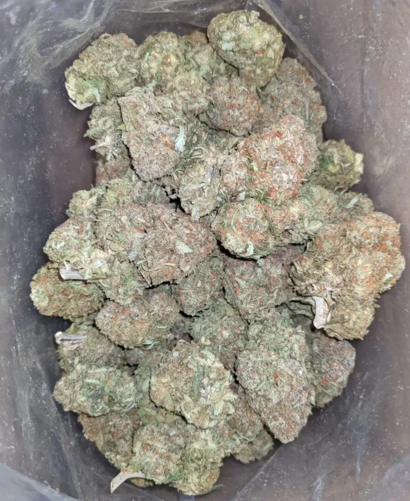 Alaskan Thunderfuck - Image 4