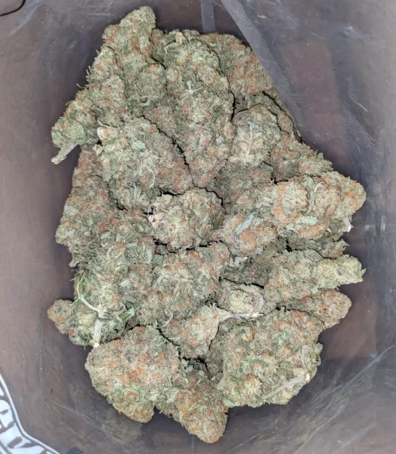 Alien Cookies - Image 6