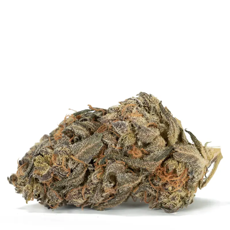 Amnesia Haze
