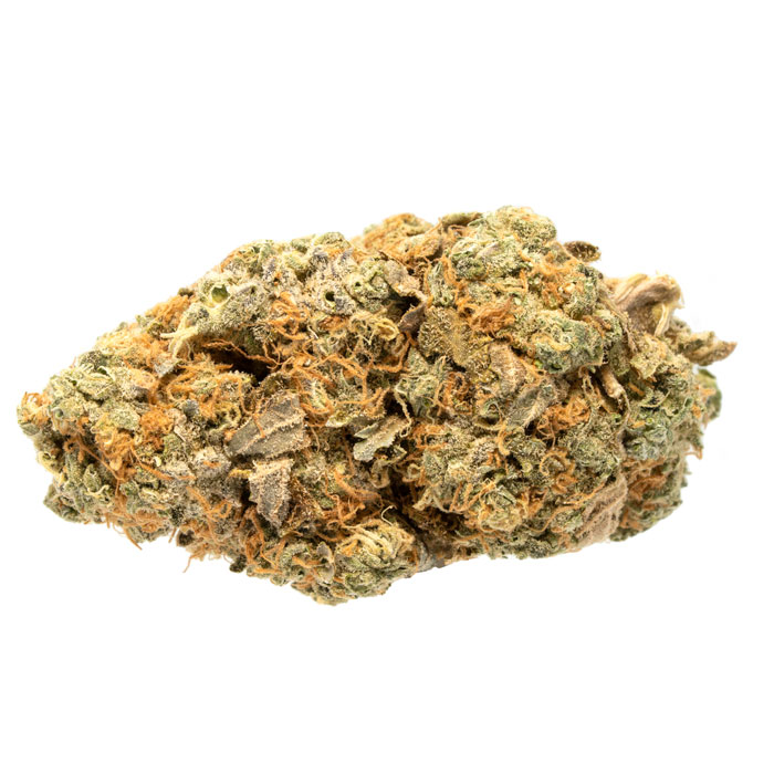Animal Cookies