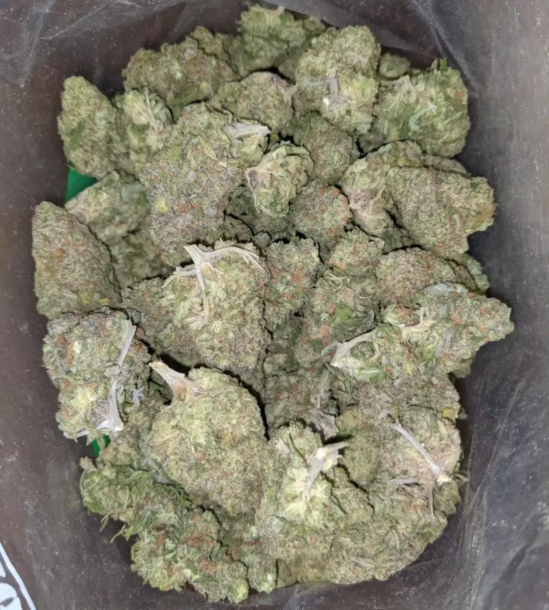 Animal Mints - Image 7