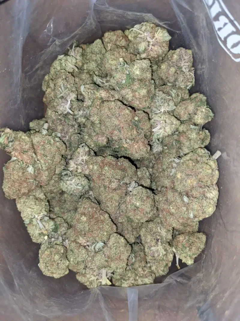 Apple Fritter - Image 5