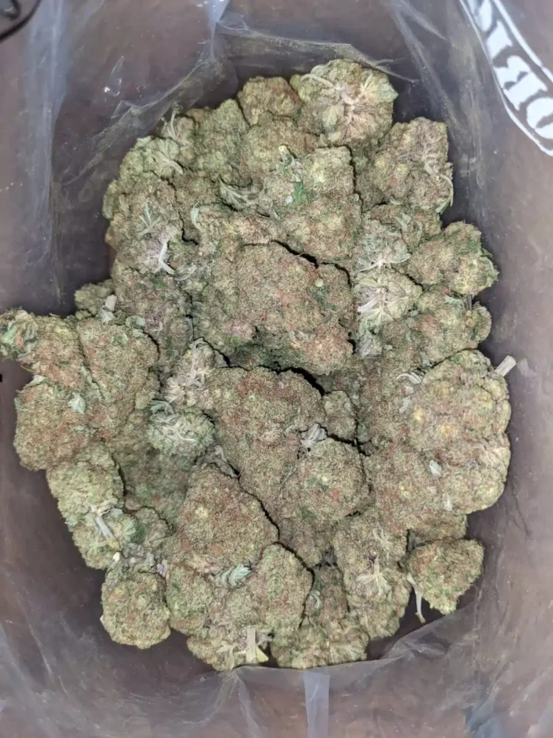 Apple Fritter - Image 4
