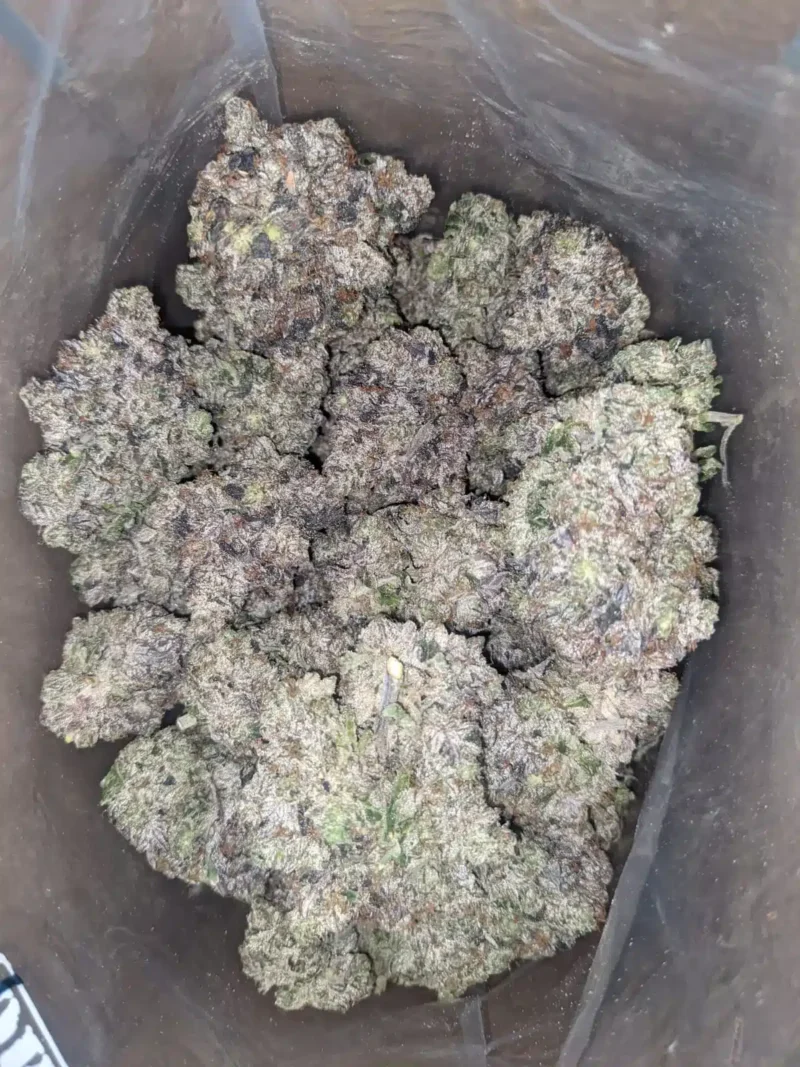 Astropink AAAA - Image 5