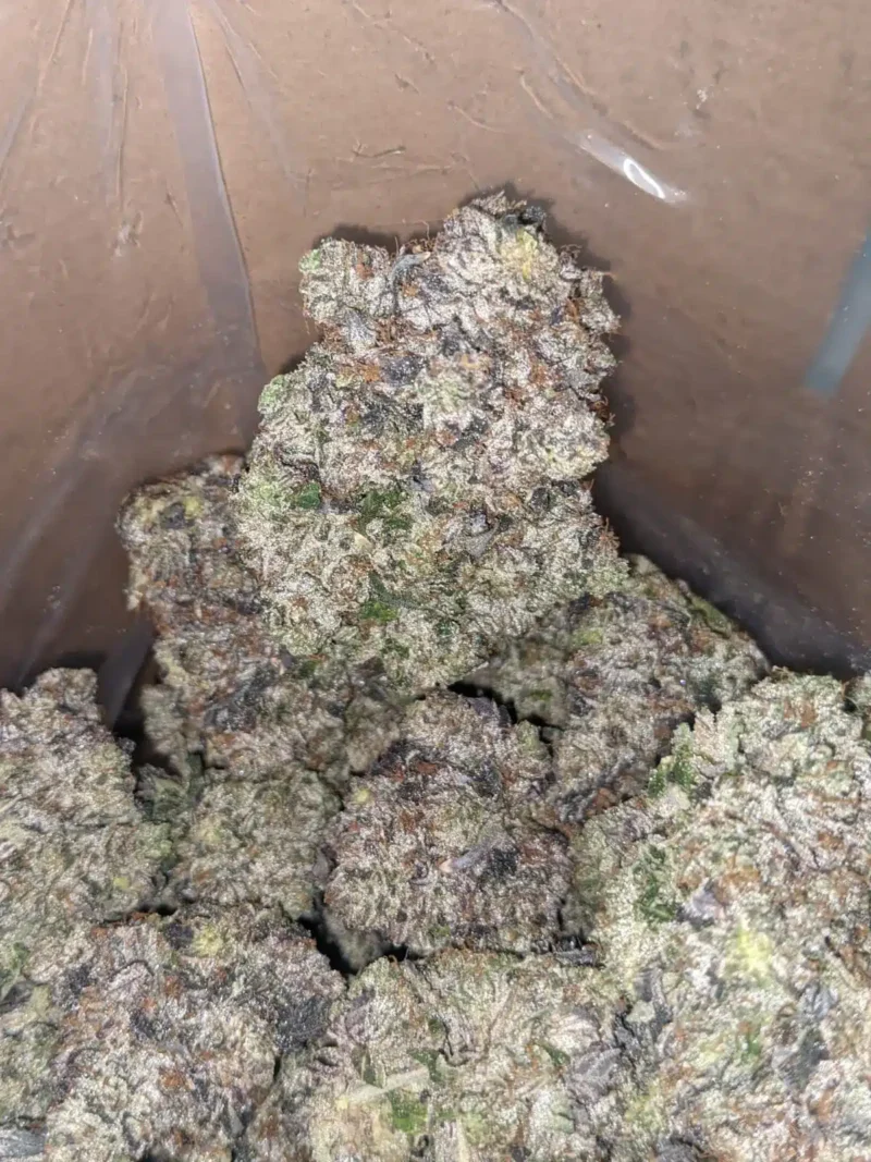 Astropink AAAA - Image 7
