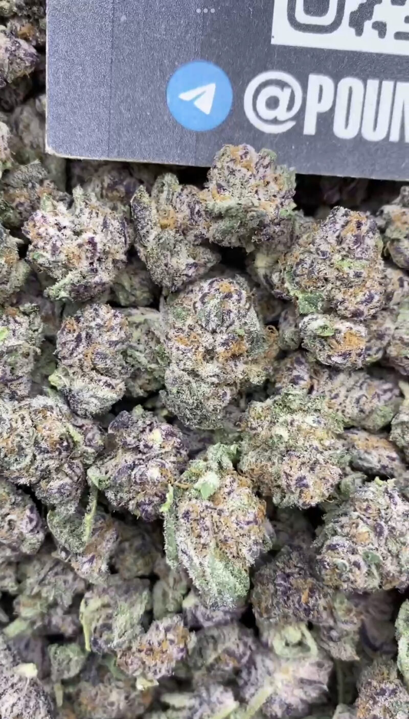 Tropical Gummies Smalls - Image 3