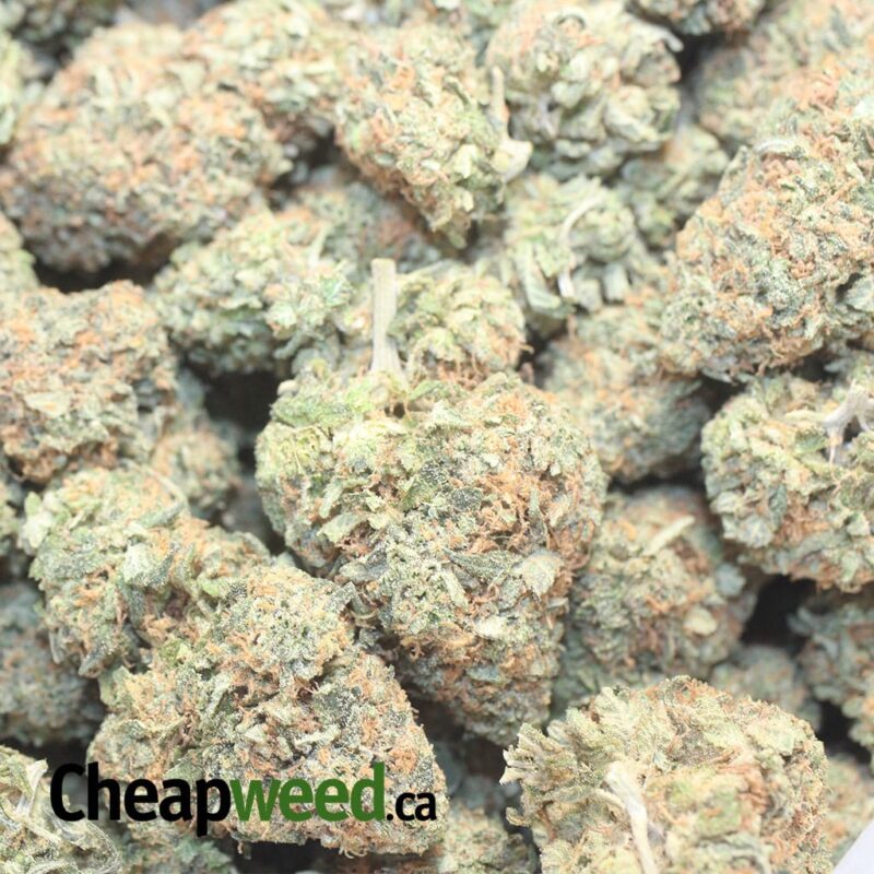 Banana Kush - Image 3