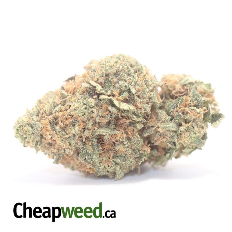 Banana Kush