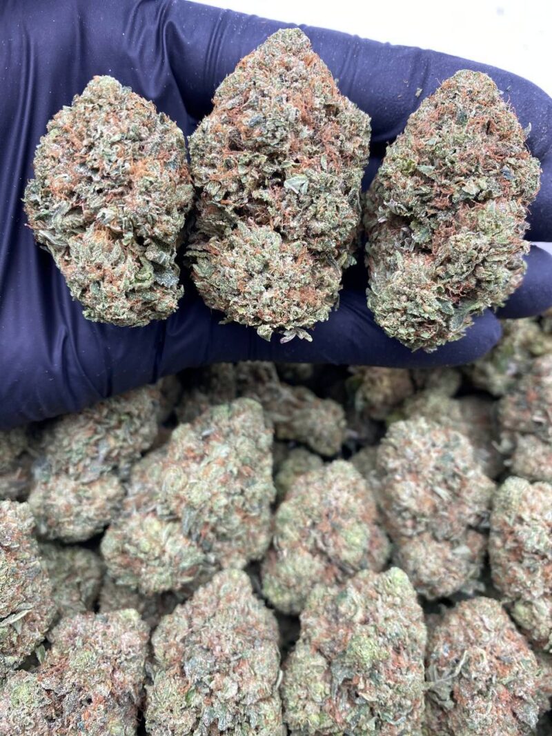Pressure OG - Image 2