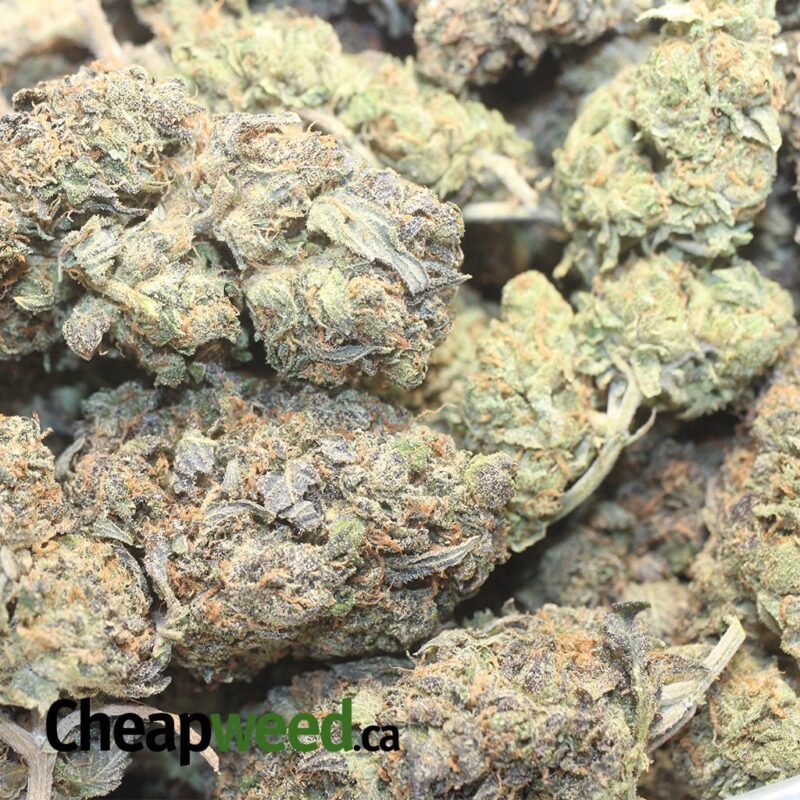 Purple Kandy - Image 3