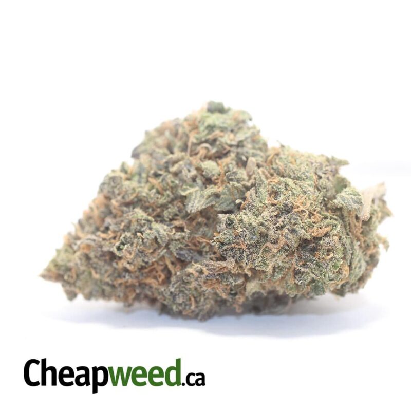 Purple Kandy