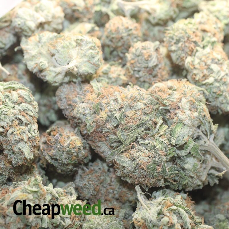Berry White - Image 3