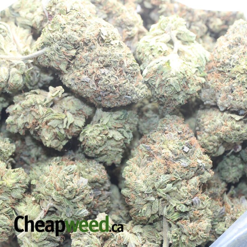 Black Afghani - Image 3