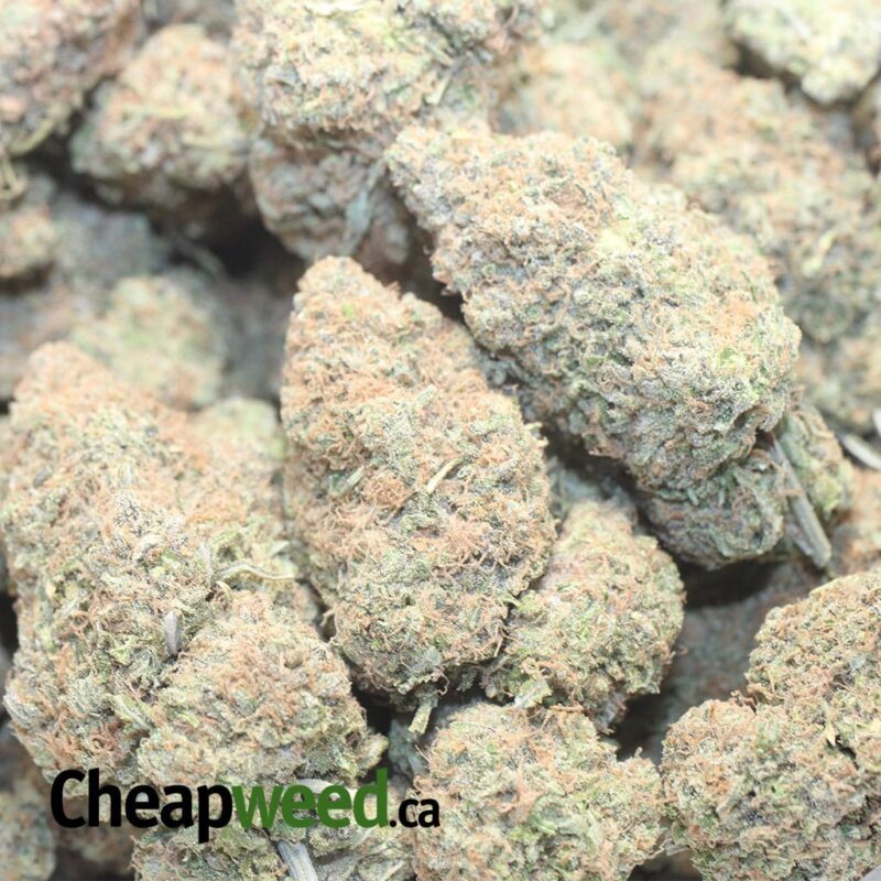 Black Cherry Punch - Image 3