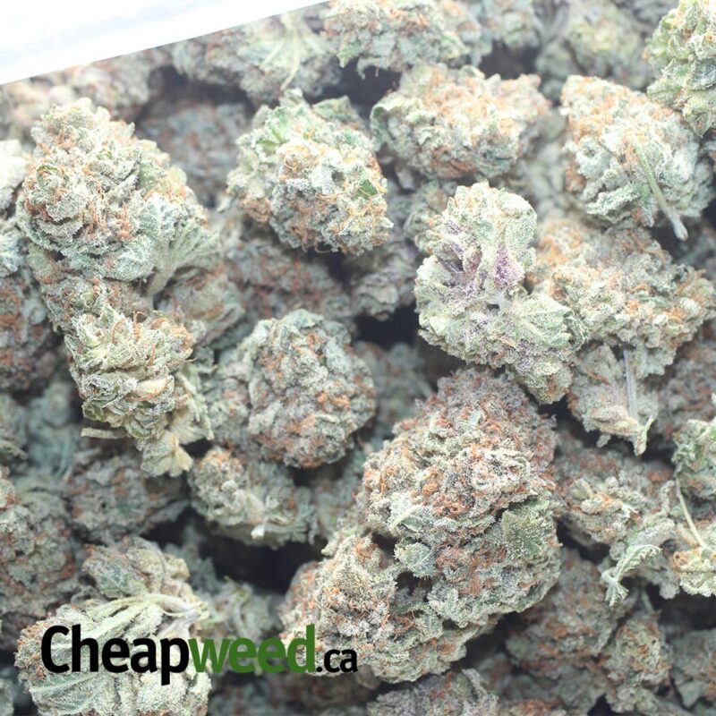 Black Cherry Soda - Image 3