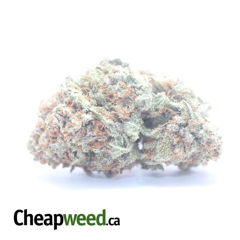 Black Cherry Soda