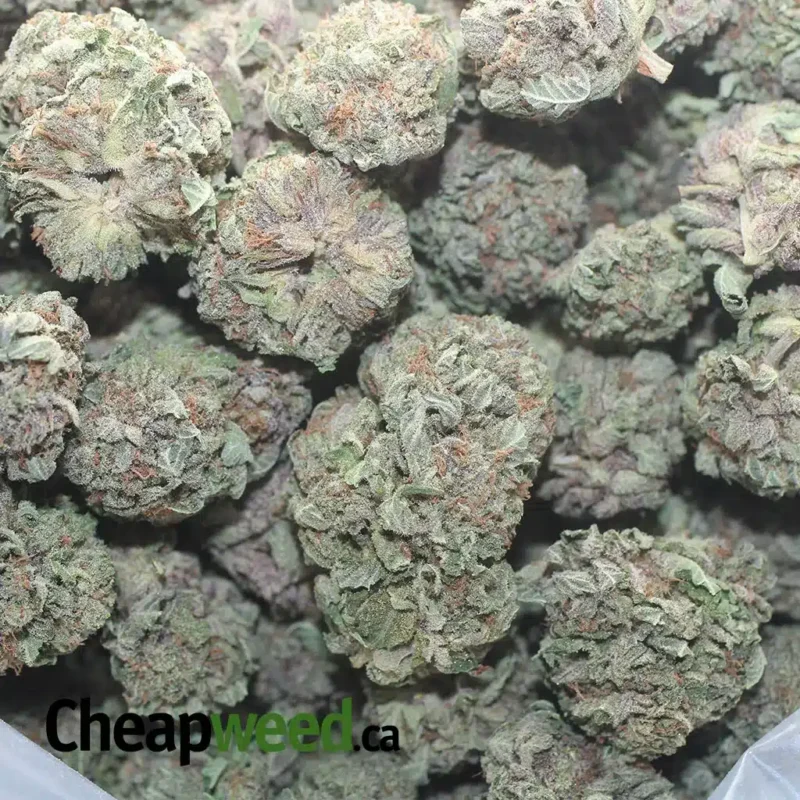 Black Diamond - Image 3