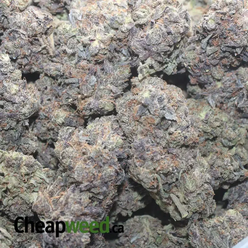 Black Gas - Image 3