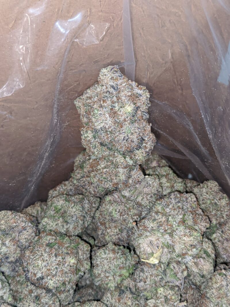 Blueberry Creamsicle - Image 6