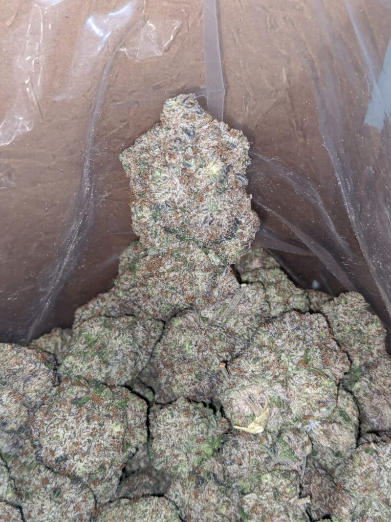 Blueberry Creamsicle - Image 7