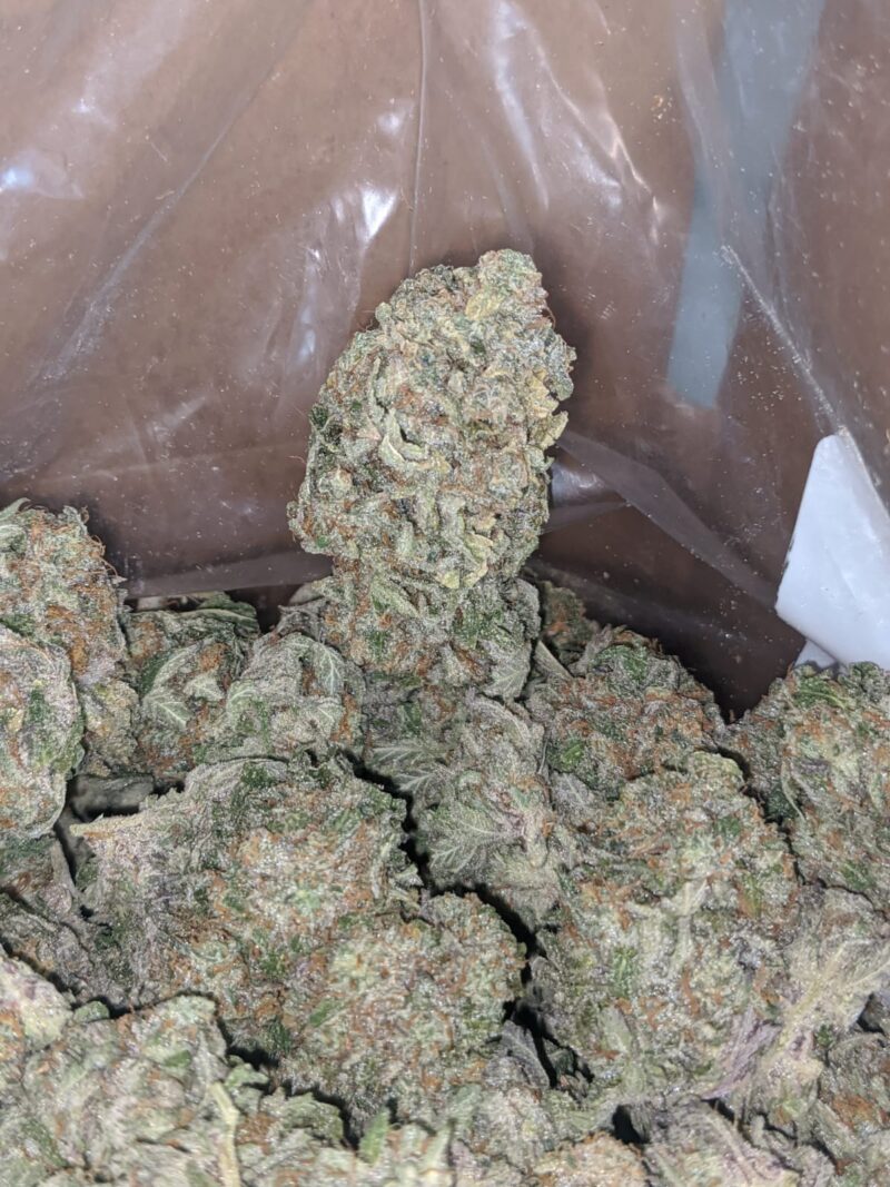 Blueberry Cheesecake - Image 5