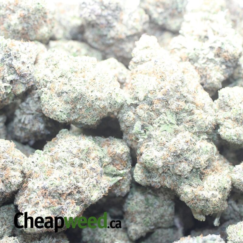Blueberry Creamsicle - Image 3
