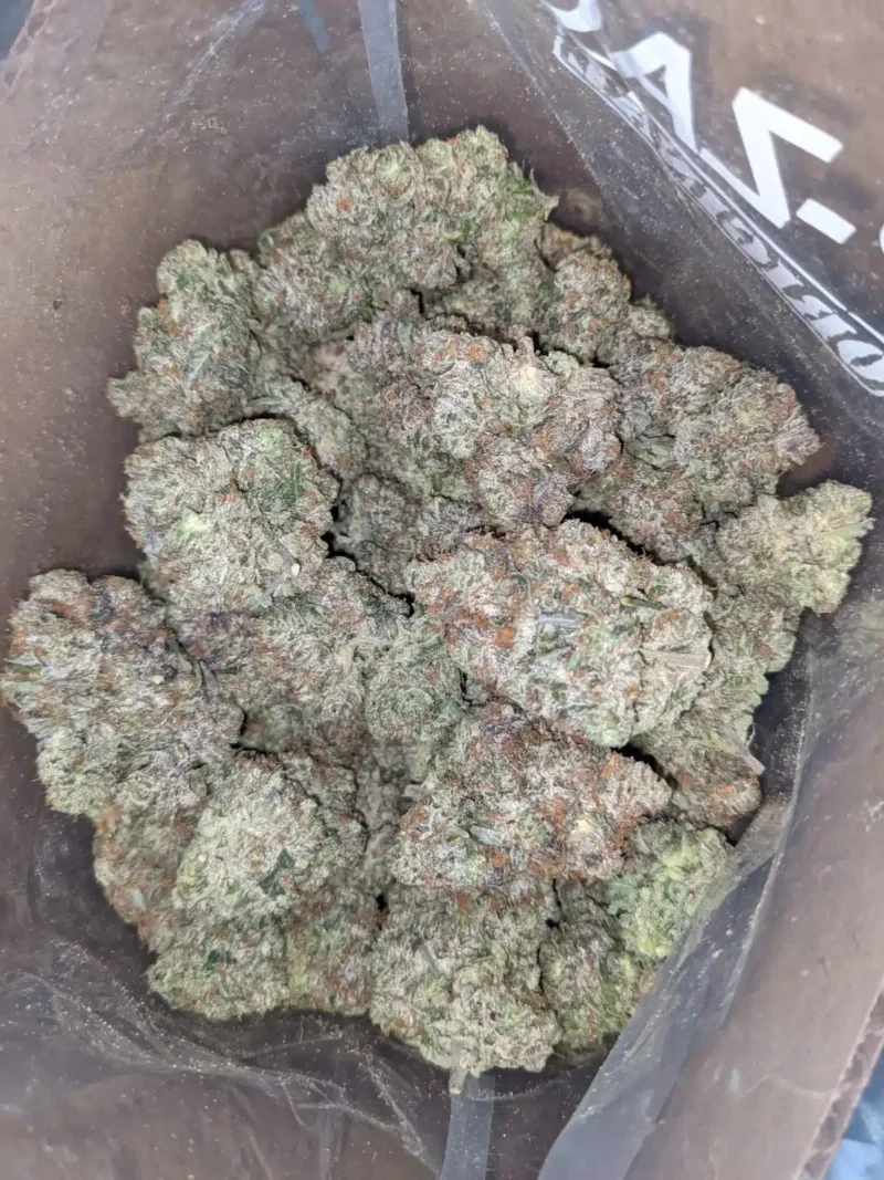 Bruce Banner - Image 3